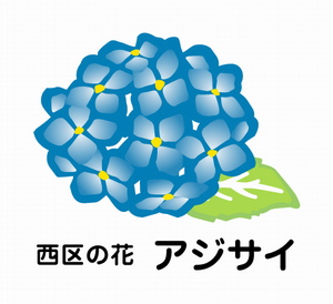 西区の花　アジサイ