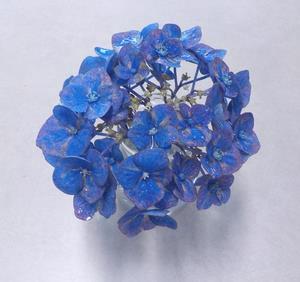 0707