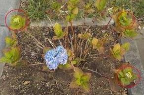 1102