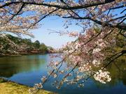 大宮公園