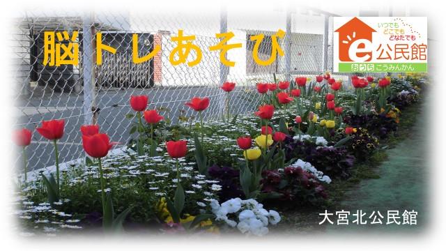 大宮北_202109