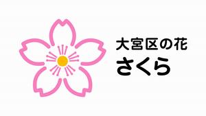 区の花さくらロゴデザイン