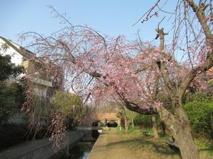 千貫樋水郷公園1