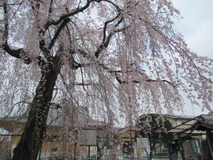 林鐘寺3