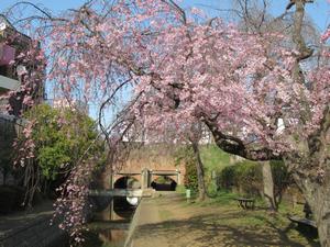 千貫樋水郷公園3