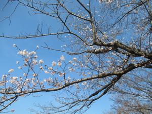 千貫樋水郷公園5