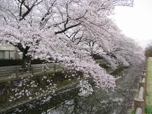 荒川総合運動公園通り3