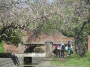千貫樋水郷公園