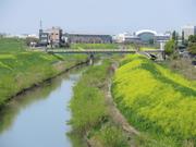 さくら草橋からの風景