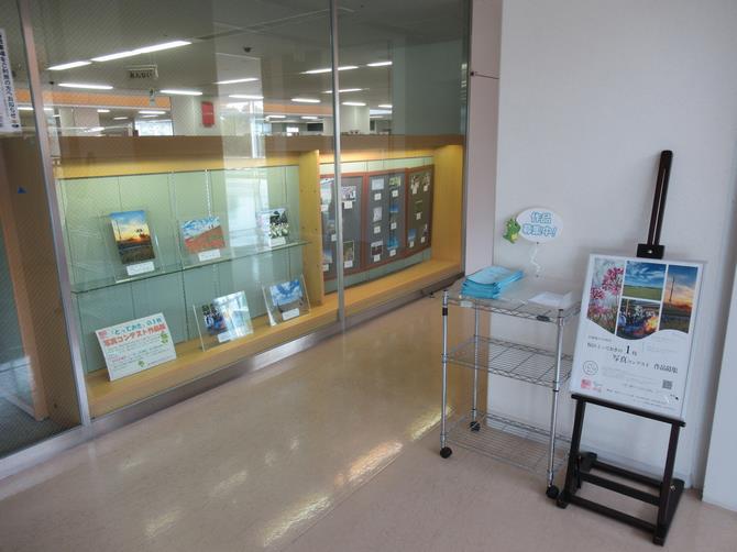 桜図書館　2/2