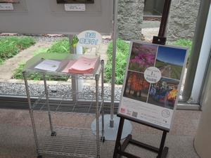 サイデン060523-2