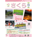 桜区版2025年11月号表紙