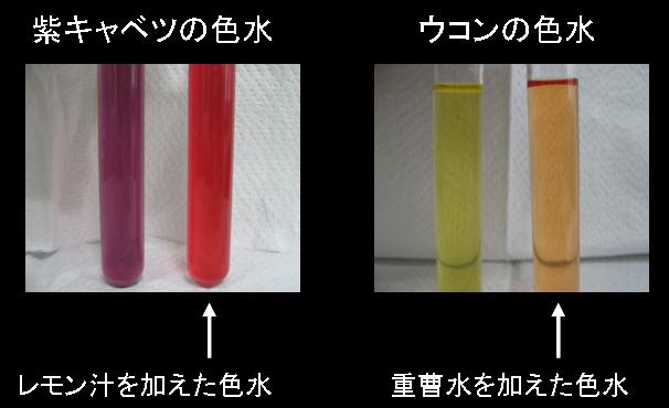 紫キャベツとウコンの色水の色変化