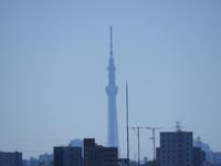 201507東京スカイツリー