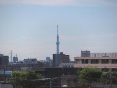 201906ブレイクショット5