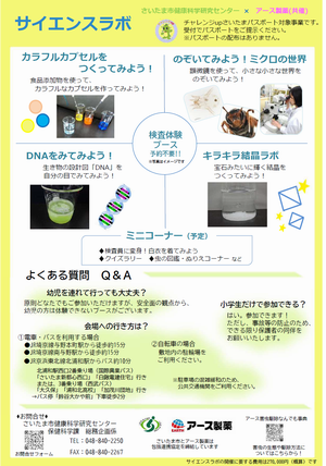 チラシ裏