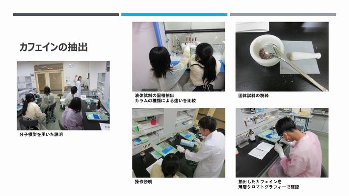 サイエンスラボ中学生