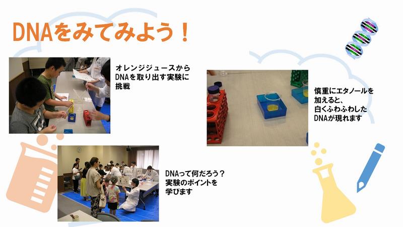 DNAをみてみよう