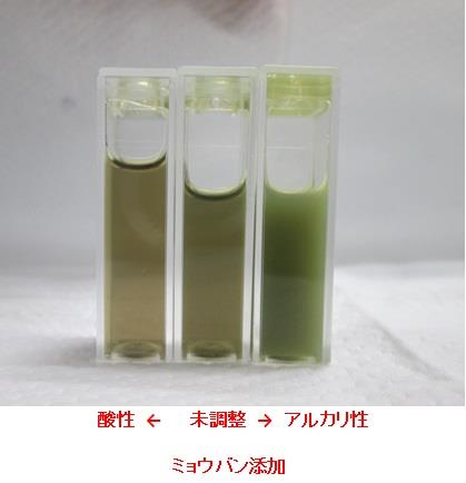 ミョウバンを添加したアジサイ色素