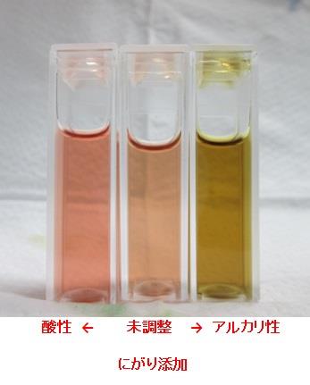 塩化マグネシウムを添加したアジサイ色素