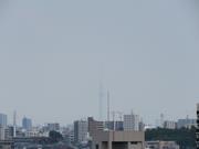 2025年8月東京スカイツリー写真