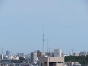 2025年9月東京スカイツリー写真