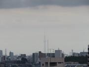 2025年10月東京スカイツリー写真