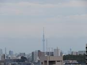 2025年11月東京スカイツリー写真