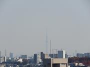 2025年12月1日東京スカイツリー写真