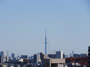 2025年12月4日東京スカイツリー写真