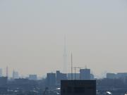 2026年1月16日スカイツリー写真