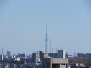 2026年2月東京スカイツリー写真