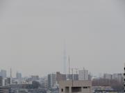 2026年3月東京スカイツリー写真