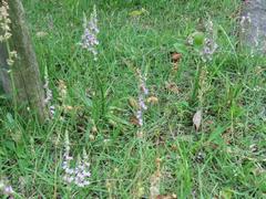 202106ブレイクショット2