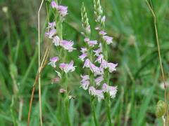 202106ブレイクショット1