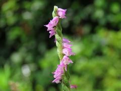 202106ブレイクショット5