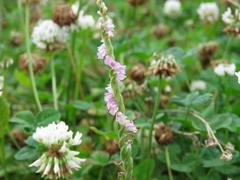 202106ブレイクショット6