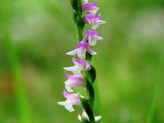 202106ブレイクショット9