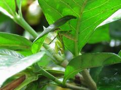 202107ブレイクショット19_0713雨上がり1