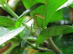 202107ブレイクショット20_0713雨上がり2