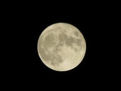 202109ブレイクショット1_月1