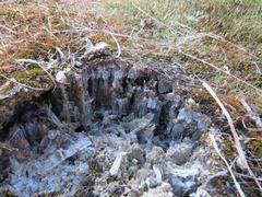 202112ブレイクショット3霜柱1