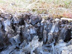 202112ブレイクショット4霜柱2