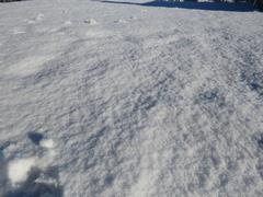 202201ブレイクショット2屋上積雪2