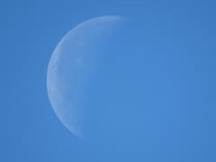 202202ブレイクショット5_月