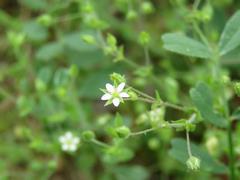 202304ブレイクショット14ノミノツヅリ