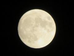 202309ブレイクショット月