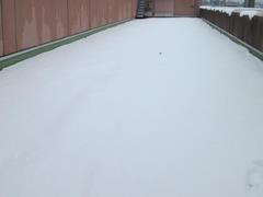 202402ブレイクショット1雪