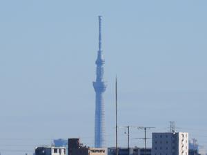202412東京スカイツリー