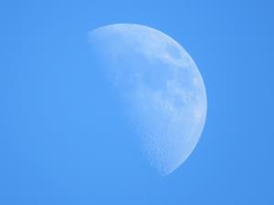 202412昼間の白い月